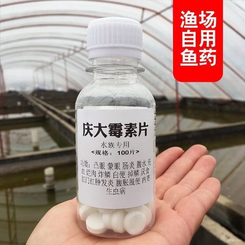有哪些藥物可以輔助治療龍魚病，關(guān)于水族養(yǎng)殖中的“龍魚病”