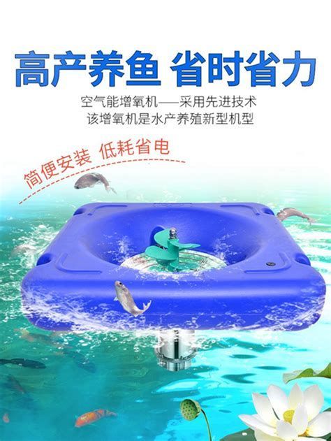 龍魚浮在水面如何增加氧氣？，關于龍魚浮頭（浮在水面呼吸）的詳盡分析與增氧方案