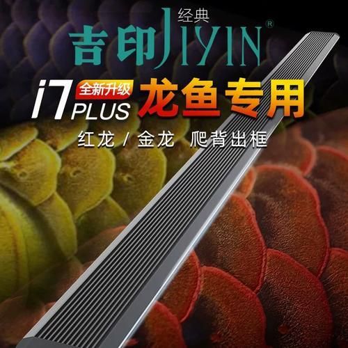 有哪些品牌燈管適合藍底金龍魚，藍底金龍魚燈管選擇