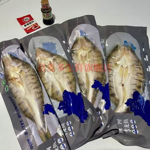 新疆雪龍魚的價格是多少，新疆雪龍魚價格是多少新疆雪龍魚有哪些品牌推薦 新疆雪龍魚的價格是多少，新疆雪龍魚價格是多少新疆雪龍魚有哪些品牌推薦 龍魚百科 第8張