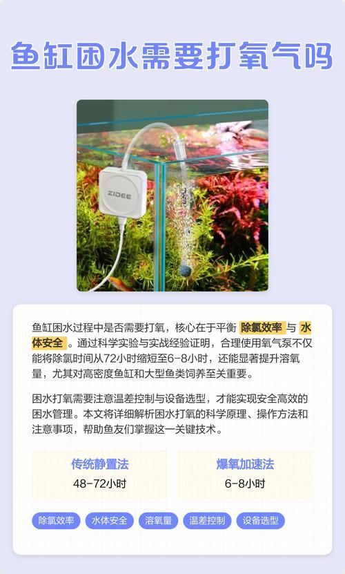 龍魚缸最佳溶氧量是多少，如何判斷龍魚缸溶氧量是多少？