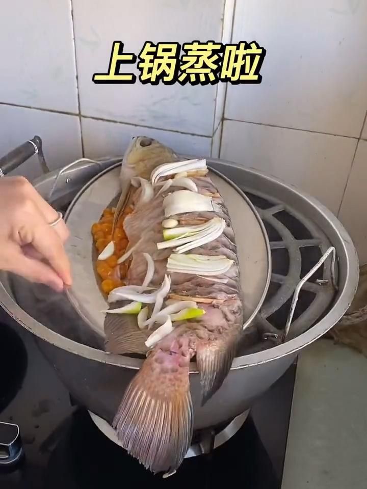 清遠龍魚哪個烹飪方法最好吃，大廚教你鱘龍魚的處理技巧和做法