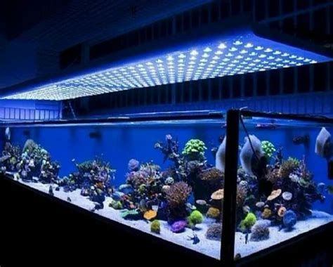 水族燈，水族燈選購指南
