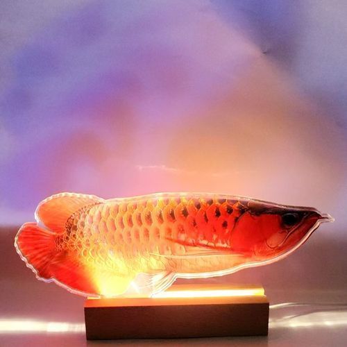 給我一些龍魚發(fā)光燈的安裝圖片，魚發(fā)光燈的安裝步驟