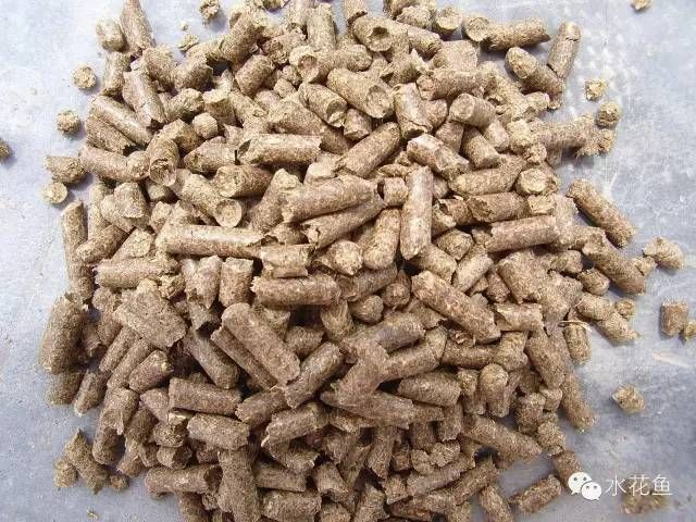 如何降低永春龍魚的飼養成本，如何完成，飼用戶要求詳解如何趕緊學會