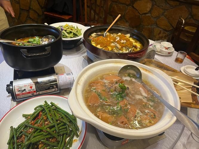 南寧還有哪些龍魚餐廳值得一試，南寧旅游攻略，