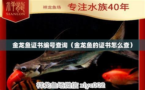 如何判斷龍魚證書編號是否真實有效？，如何判斷魚證書編號的真偽