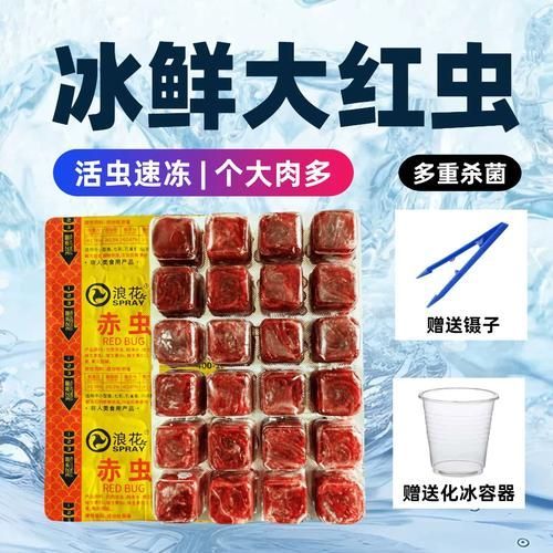 如何正確投喂面包蟲和紅蟲，如何正確投喂面包蟲和紅蟲的技術要點