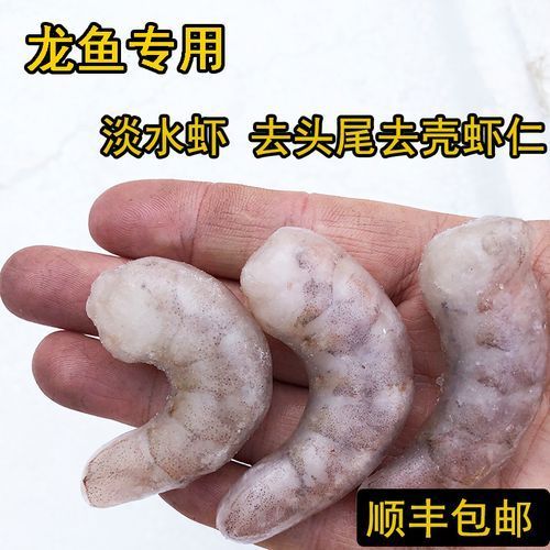 有哪些活餌適合紅龍魚食用，如何為紅龍魚選擇合適的活餌？