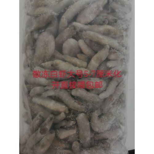 有哪些活餌適合紅龍魚食用，如何為紅龍魚選擇合適的活餌？