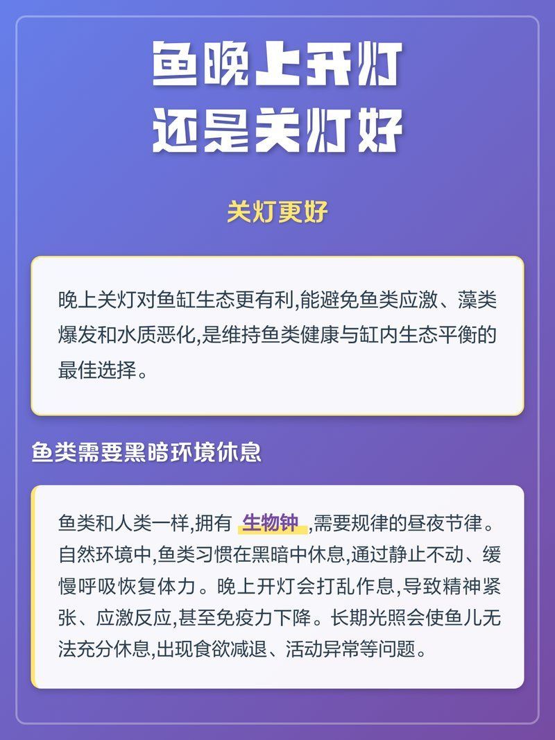 晚上不開燈，龍魚會睡覺嗎，龍魚一定會睡覺嗎？