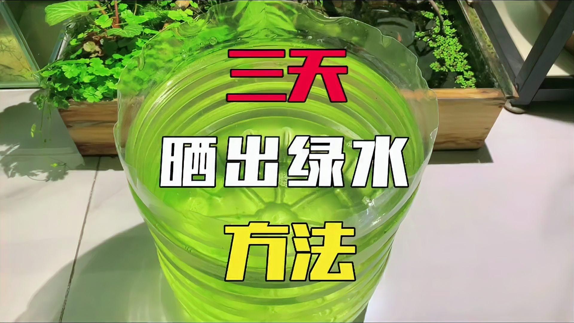 哪種方法加速綠水形成最有效，加速綠水形成的方法