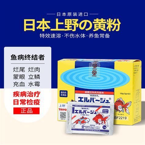 龍魚尾鰭充血，關于龍魚尾鰭充血的詳細解析