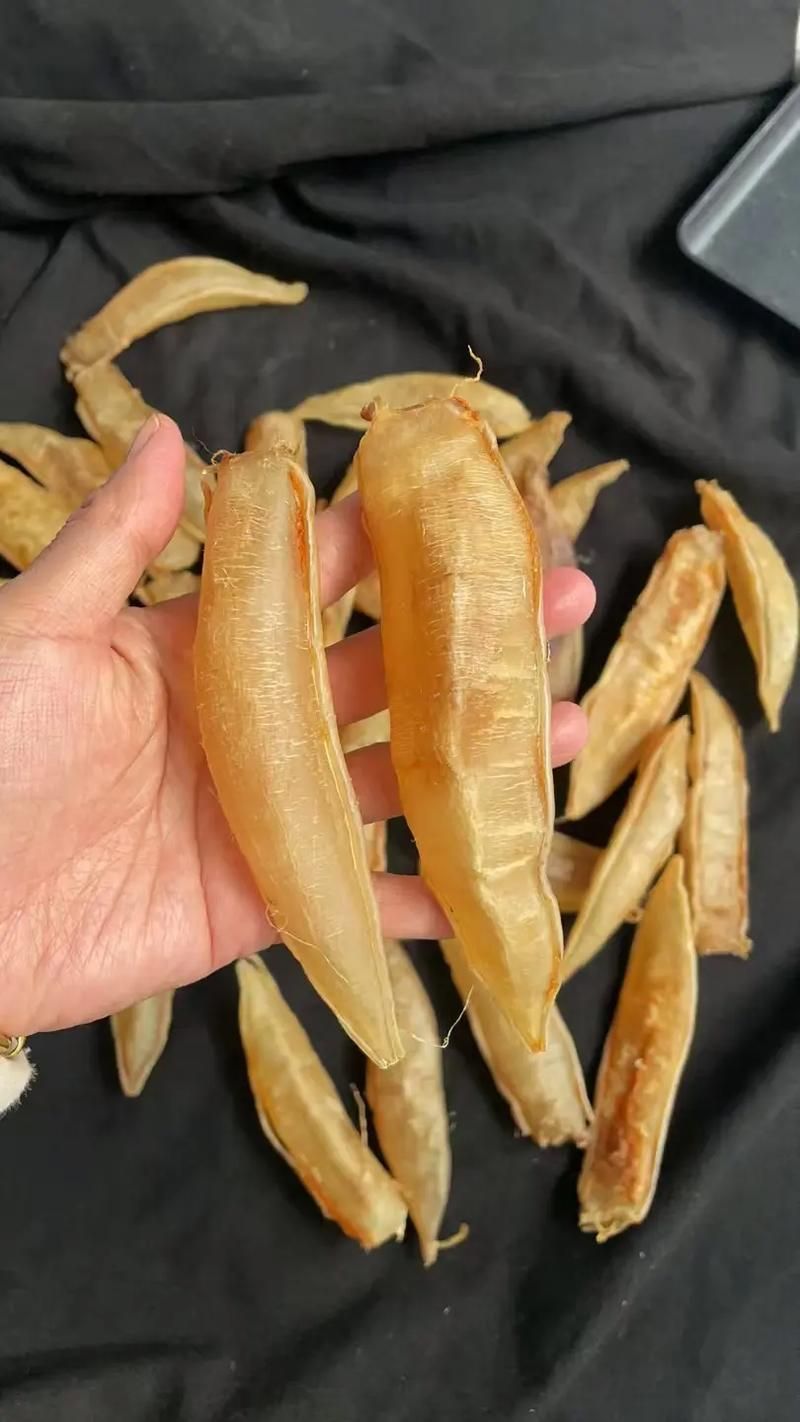 金龍魚膠有哪些品種，哪個品種的金龍魚膠最好？
