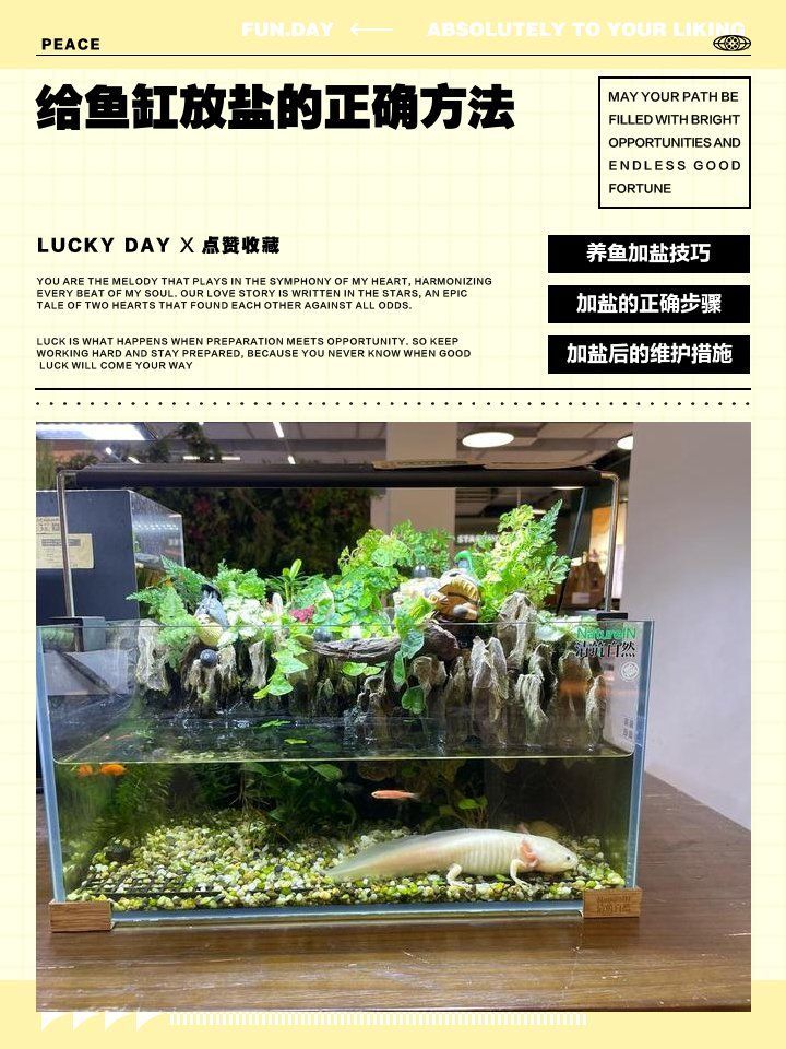 如何科學使用魚缸鹽，如何科學使用魚缸鹽？