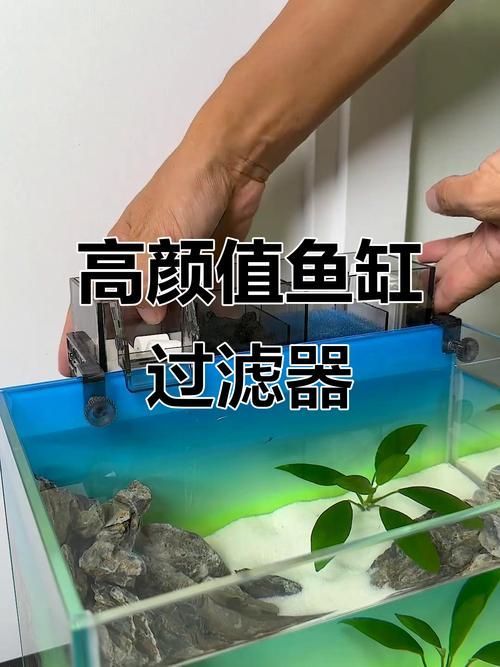 有哪些適合新手的魚缸維護工具，適合新手養(yǎng)魚的魚缸維護工具