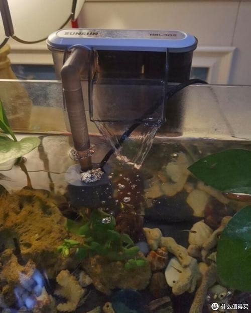 有哪些適合新手的魚缸維護工具，適合新手養(yǎng)魚的魚缸維護工具