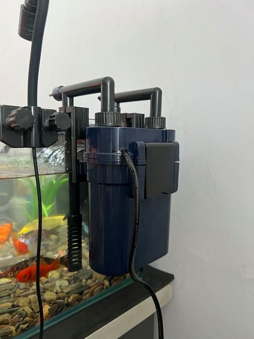 有哪些適合新手的魚缸維護工具，適合新手養(yǎng)魚的魚缸維護工具