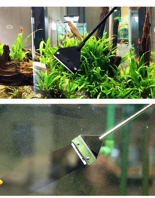 有哪些適合新手的魚缸維護工具，適合新手養(yǎng)魚的魚缸維護工具