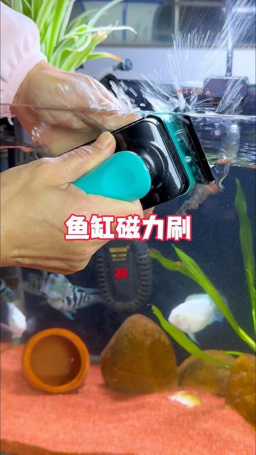 有哪些適合新手的魚缸維護工具，適合新手養(yǎng)魚的魚缸維護工具