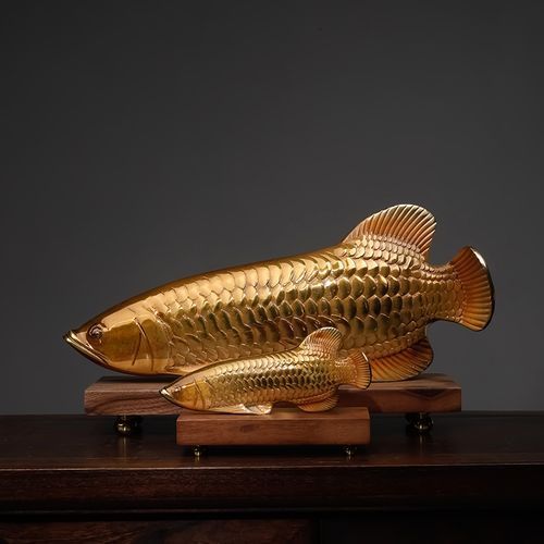 給我一些銅龍魚的照片，關于銅龍魚的一般信息和描述