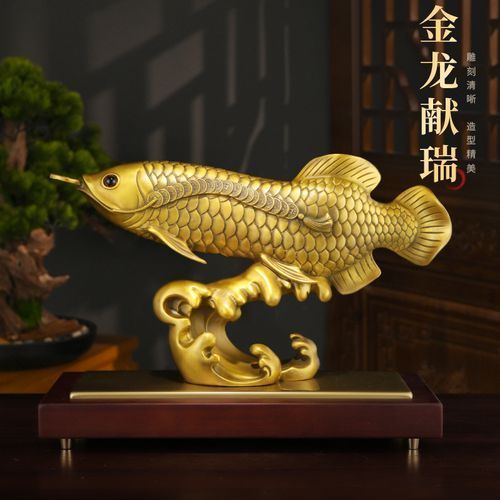 給我一些銅龍魚的照片，關于銅龍魚的一般信息和描述