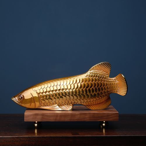 給我一些銅龍魚的照片，關于銅龍魚的一般信息和描述