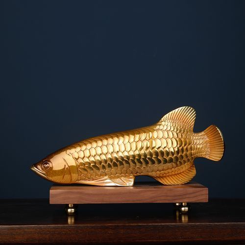 給我一些銅龍魚的照片，關于銅龍魚的一般信息和描述