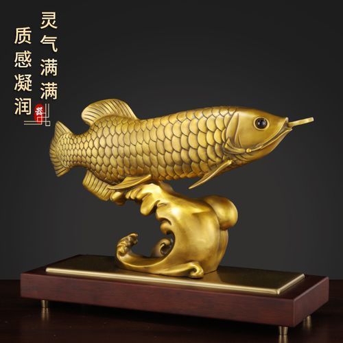 給我一些銅龍魚的照片，關于銅龍魚的一般信息和描述