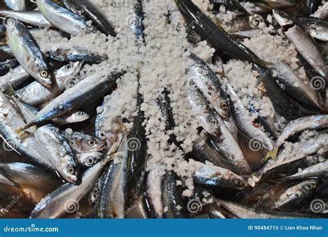 浮頭下鹽最簡單三個(gè)步驟