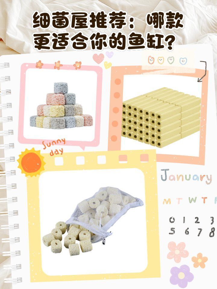 有哪些品牌細菌屋值得推薦，哪些品牌細菌屋性價比最高