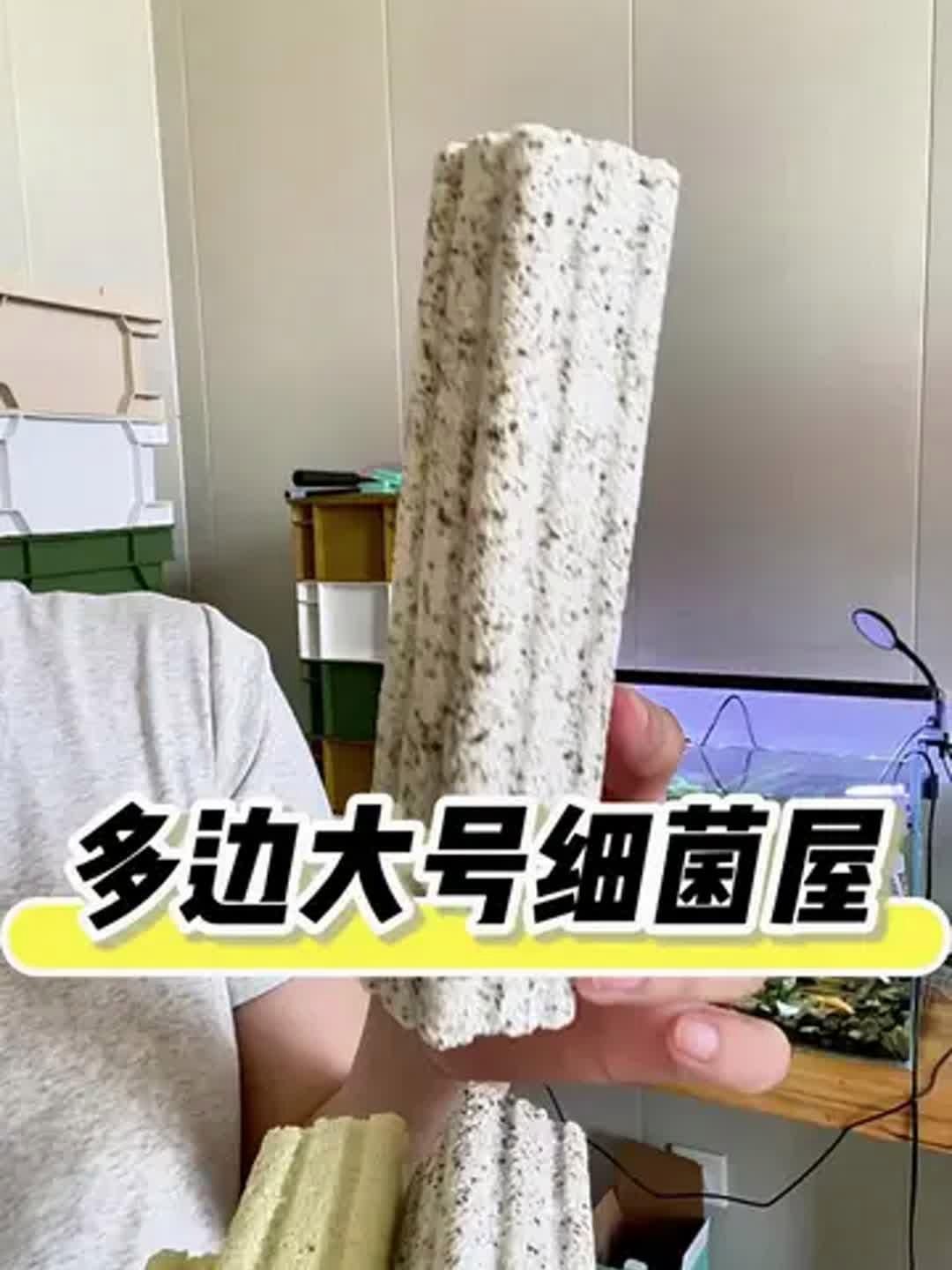有哪些品牌細菌屋值得推薦，哪些品牌細菌屋性價比最高