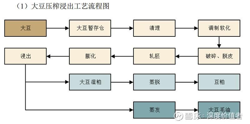 如何申請成為立達(dá)金龍魚代理，立達(dá)金龍魚代理申請流程 如何申請成為立達(dá)金龍魚代理，立達(dá)金龍魚代理申請流程 龍魚百科 第1張
