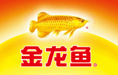 如何申請成為立達(dá)金龍魚代理，立達(dá)金龍魚代理申請流程 如何申請成為立達(dá)金龍魚代理，立達(dá)金龍魚代理申請流程 龍魚百科 第5張