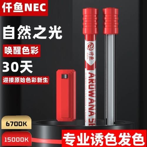 馬印和NEC哪個更適合龍魚發色，馬印和nec哪個更適合龍魚發色