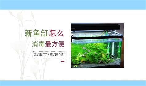 龍魚缸出水口需要多久清潔一次？，龍魚缸出水口清潔方法