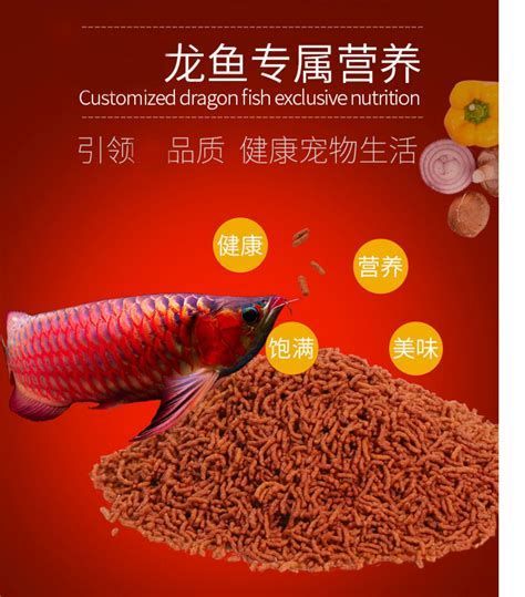 如何預防龍魚消化不良？，如何預防龍魚消化不良