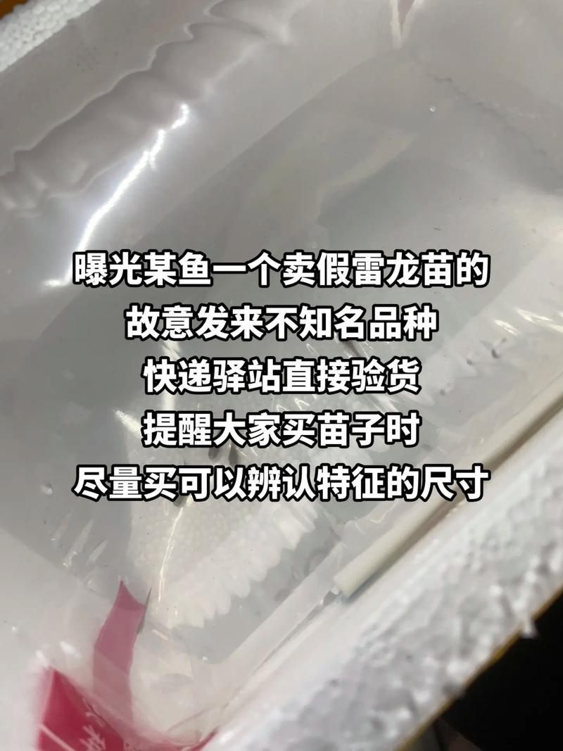 給我一些鑒別真假湛江龍魚的圖片，如何鑒別真假湛江龍魚