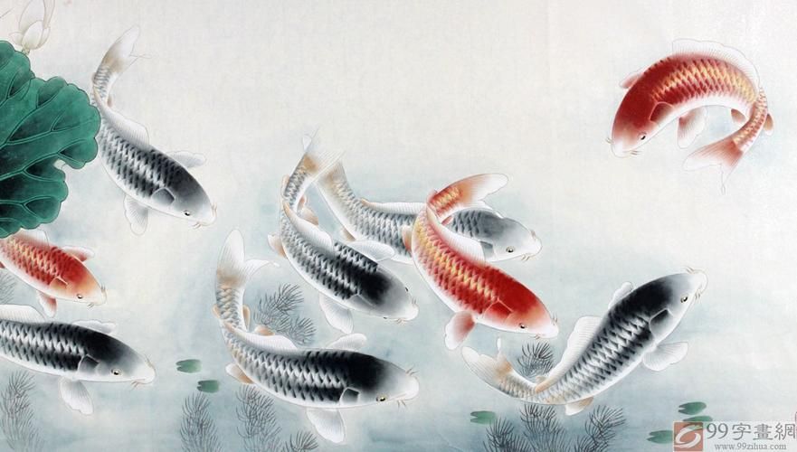 有沒有高清的九龍魚風(fēng)水圖片,尋找九龍魚風(fēng)水圖片時(shí),您可能會(huì)發(fā)現(xiàn)有許多高清版本 龍魚百科 第9張 有沒有高清的九龍魚風(fēng)水圖片,尋找九龍魚風(fēng)水圖片時(shí),您可能會(huì)發(fā)現(xiàn)有許多高清版本 有沒有高清的九龍魚風(fēng)水圖片,尋找九龍魚風(fēng)水圖片時(shí),您可能會(huì)發(fā)現(xiàn)有許多高清版本 龍魚百科 第9張