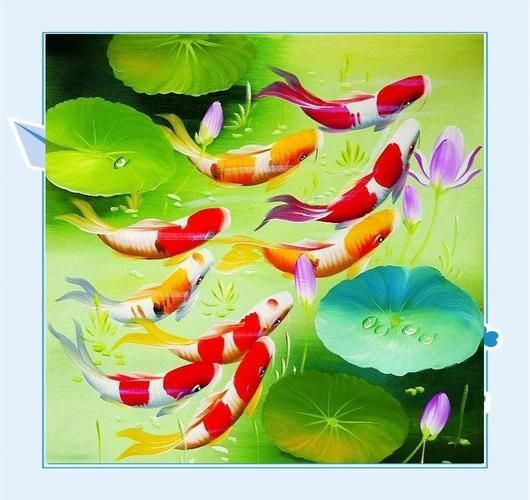 有沒有高清的九龍魚風(fēng)水圖片,尋找九龍魚風(fēng)水圖片時(shí),您可能會(huì)發(fā)現(xiàn)有許多高清版本 龍魚百科 第7張 有沒有高清的九龍魚風(fēng)水圖片,尋找九龍魚風(fēng)水圖片時(shí),您可能會(huì)發(fā)現(xiàn)有許多高清版本 有沒有高清的九龍魚風(fēng)水圖片,尋找九龍魚風(fēng)水圖片時(shí),您可能會(huì)發(fā)現(xiàn)有許多高清版本 龍魚百科 第7張
