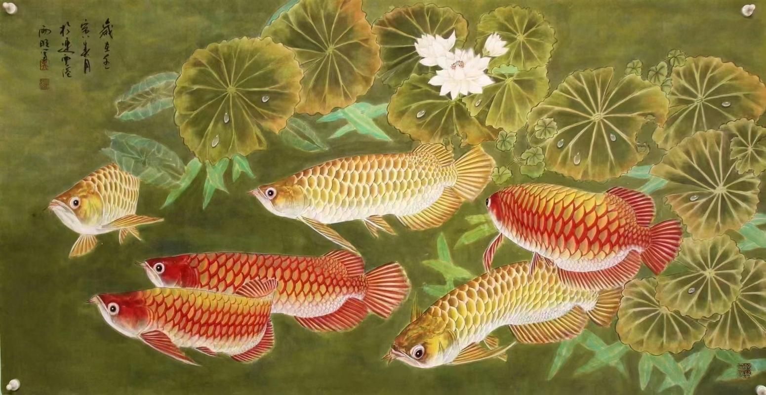 有沒有高清的九龍魚風(fēng)水圖片,尋找九龍魚風(fēng)水圖片時(shí),您可能會(huì)發(fā)現(xiàn)有許多高清版本 龍魚百科 第18張 有沒有高清的九龍魚風(fēng)水圖片,尋找九龍魚風(fēng)水圖片時(shí),您可能會(huì)發(fā)現(xiàn)有許多高清版本 有沒有高清的九龍魚風(fēng)水圖片,尋找九龍魚風(fēng)水圖片時(shí),您可能會(huì)發(fā)現(xiàn)有許多高清版本 龍魚百科 第18張