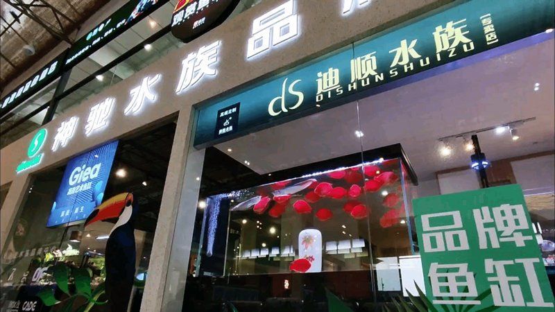 貴州龍魚有哪些知名品牌，“貴州龍魚”并非指某種原生魚類品牌，貴州龍魚品牌