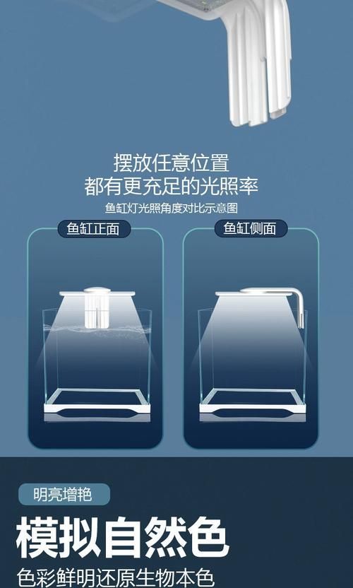魚缸LED燈的使用壽命是多久，高性價比魚缸led燈選購清單，幫你省去挑選煩惱
