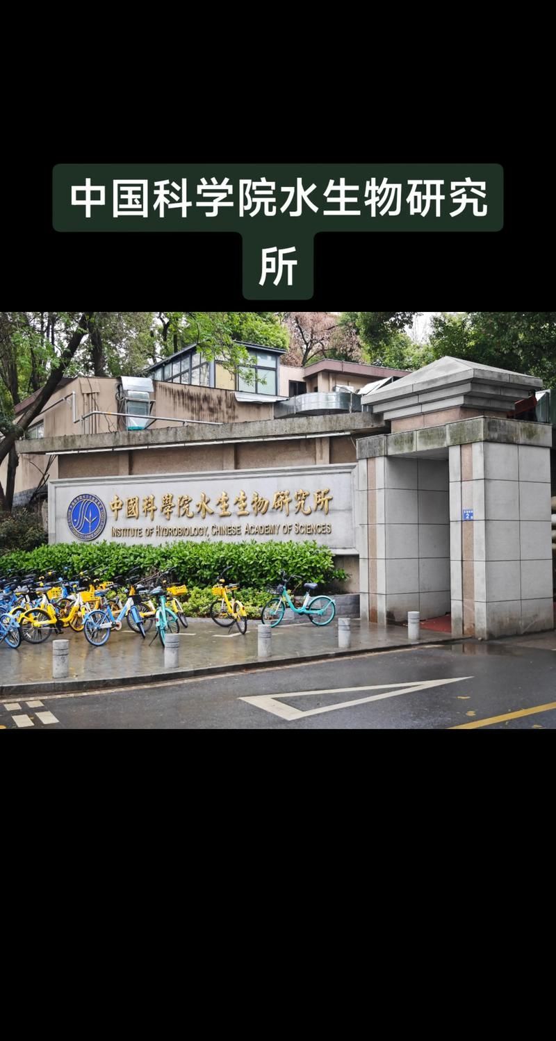 如何合法地獲取石獅龍魚用于研究，石獅龍魚合法獲取