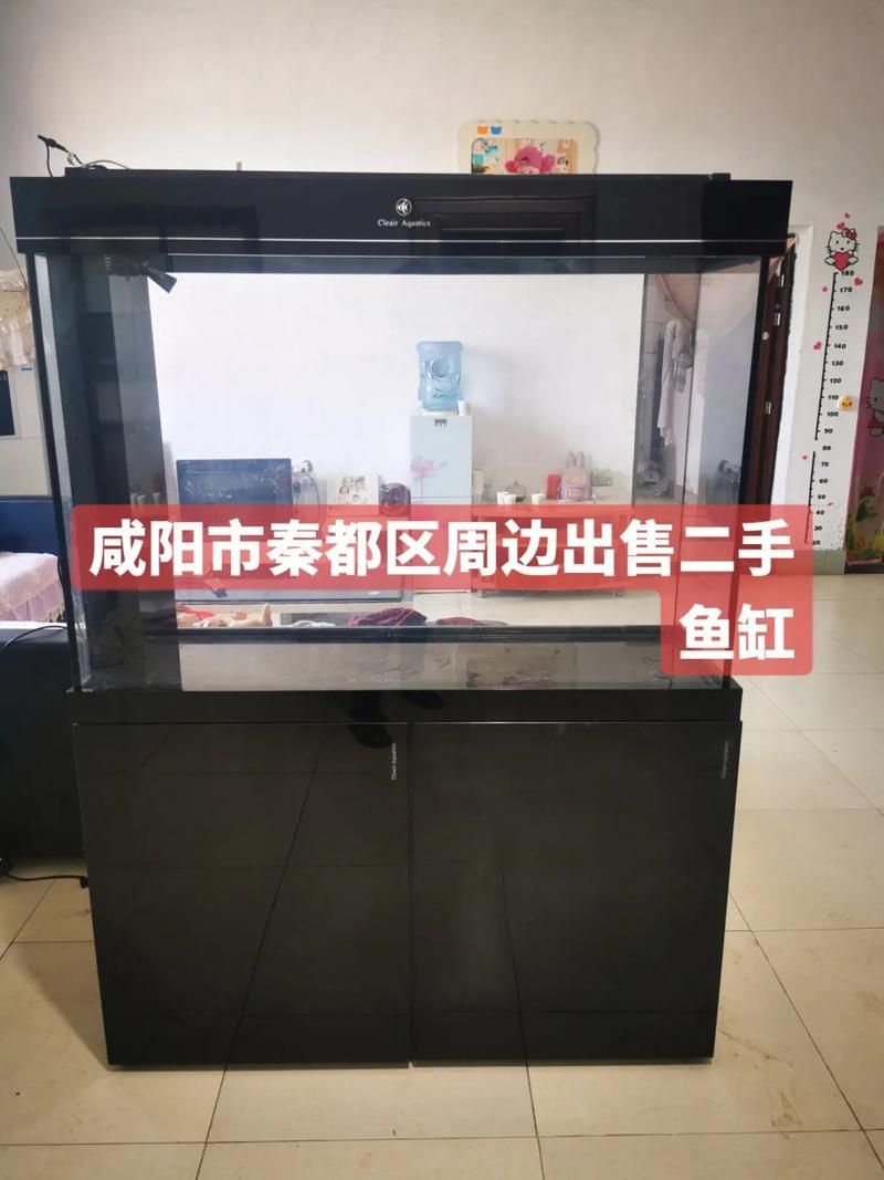 如何選擇適合的可麗魚缸系列，如何選擇適合的可麗魚缸系列？