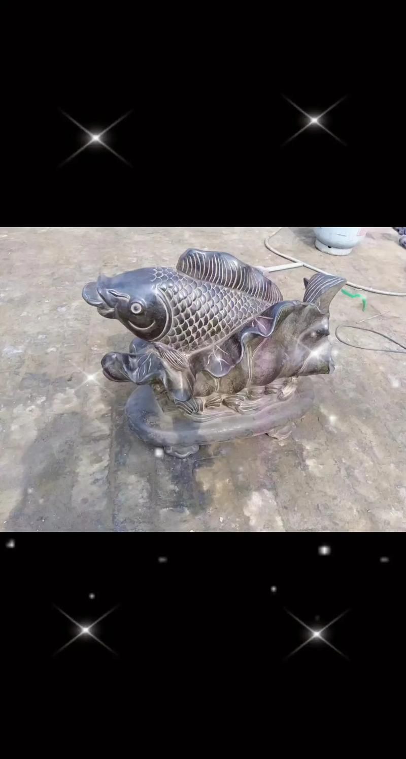 給我一些曲陽龍魚的圖片，曲陽龍魚的奧秘