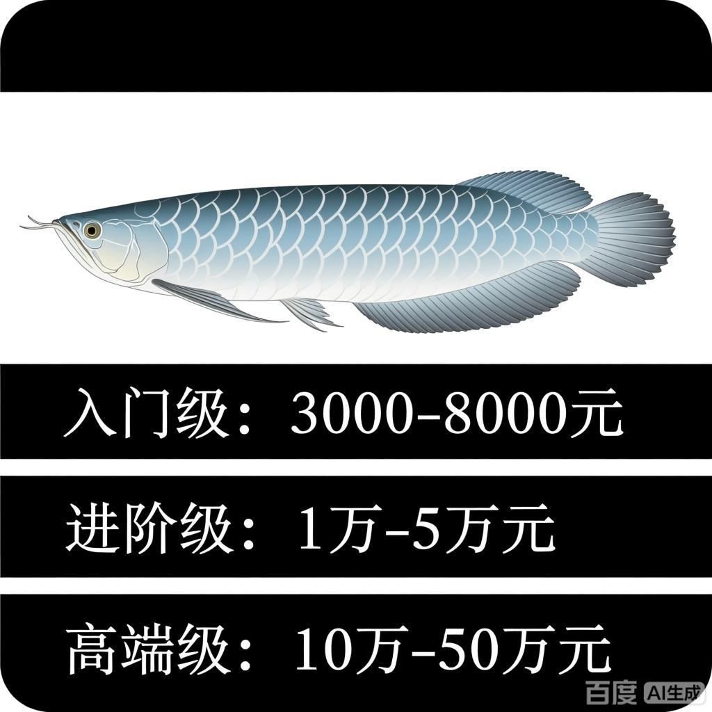 長身龍魚的價格范圍是多少，長身龍魚價格波動大嗎長身龍魚的價格波動大嗎