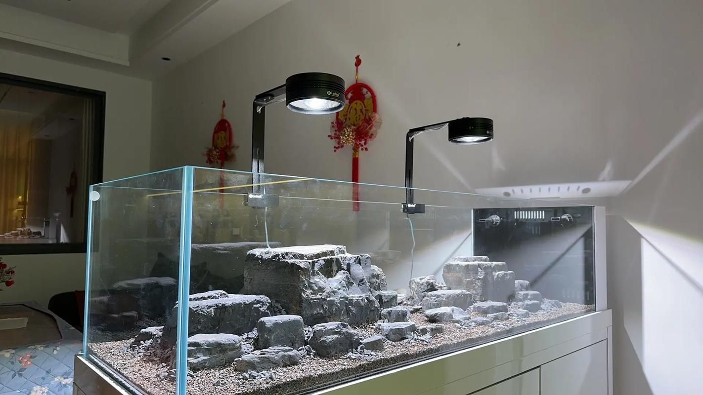 如何配置胭脂孔雀龍魚的魚缸，胭脂孔雀龍魚缸配置