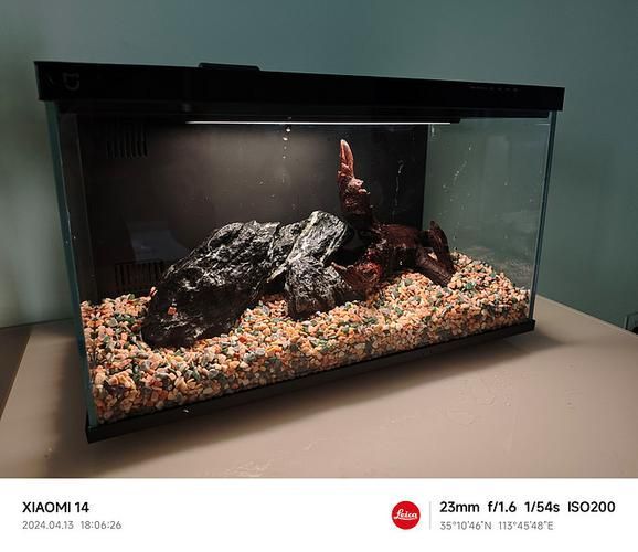 如何配置胭脂孔雀龍魚的魚缸，胭脂孔雀龍魚缸配置