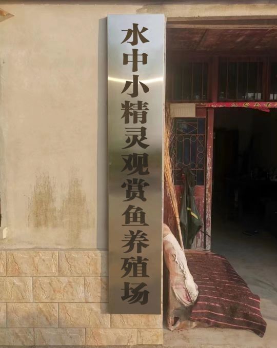 南陵縣有哪些觀賞魚養(yǎng)殖場(chǎng)，南陵縣有哪些觀賞魚養(yǎng)殖場(chǎng)？